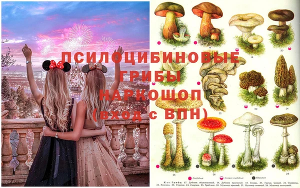 бутират Алзамай