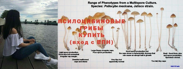 прущая мука Алексин