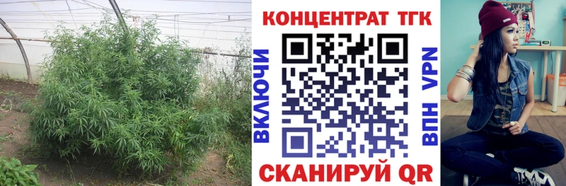 ТГК вейп  где купить   Кукмор 
