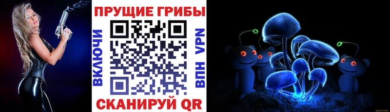 где продают   Кукмор  Галлюциногенные грибы Psilocybe 
